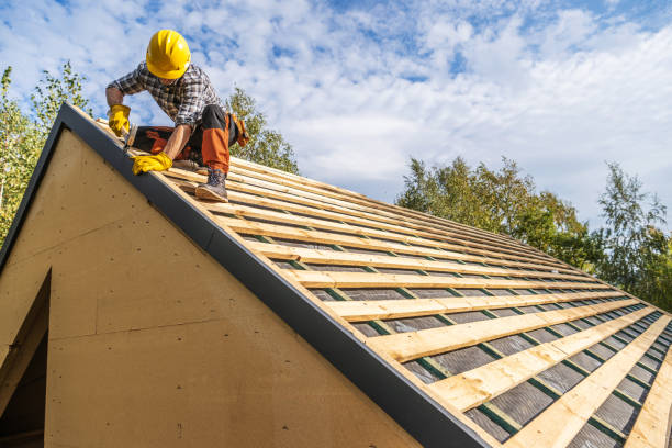 Best Roof Maintenance Services  in Maplewood, MN